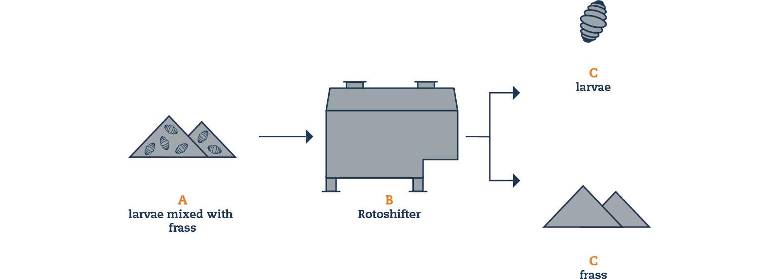 flowchart-insect-rearing-rotoshifter