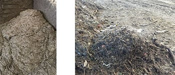 the wet and dry output fractions of green waste