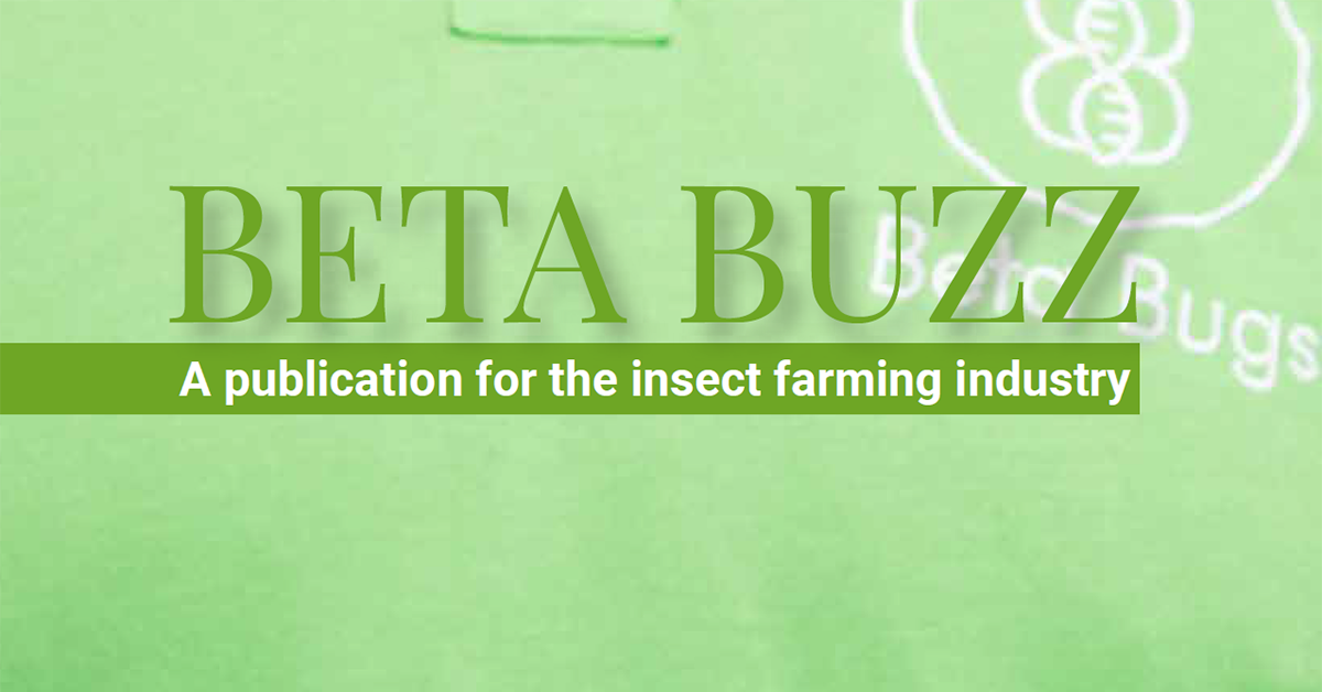 Royal Dutch Kusters Engineering in Beta Buzz: The New, High-Quality Black Soldier Fly Larvae and Frass Separator